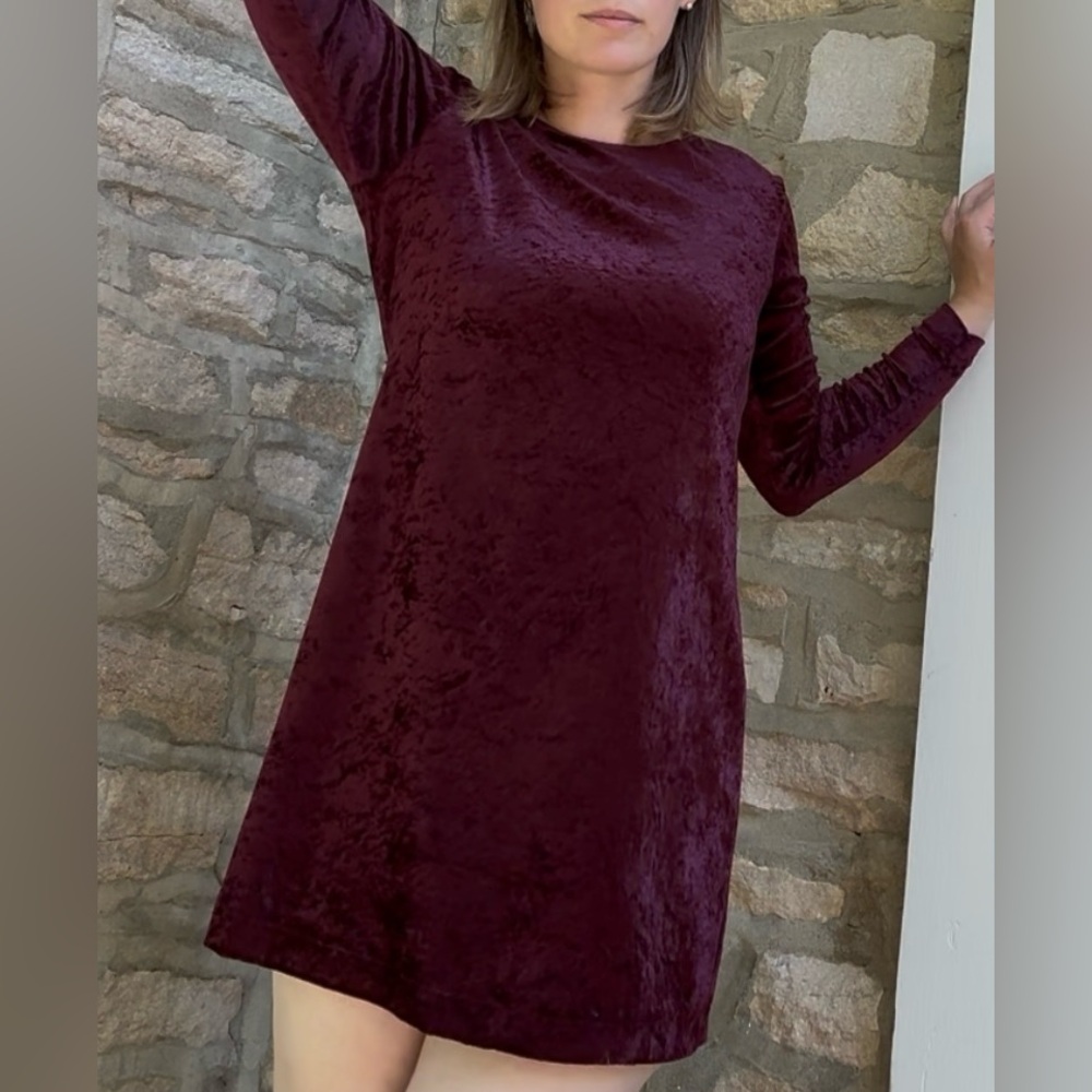 Velvet Long Sleeved Dress - Picture 5 of 7
